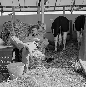 Farmhand: The Royal Show 1959