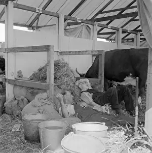 Overworked: The Royal Show 1959