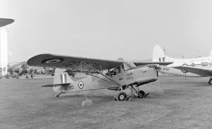 Auster: Royal Air Force Auster T.7 WE600