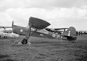 Auster: Royal Air Force Austers WJ316