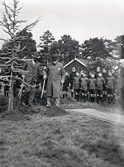 Bagshot: Royal Albert Orphanage, Bagshot, Surrey - tree planting