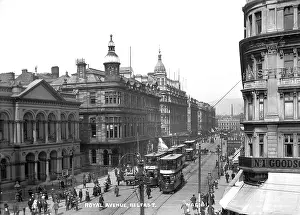 Trams: Royal Avenue, Belfast