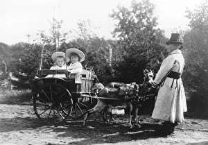 Feodorovna: Royal Carriage, Drawn by Goats