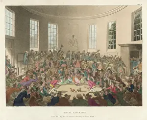 Cockfighting: Royal Cockpit, London