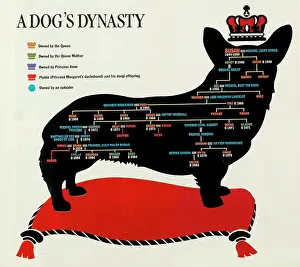 Lineage: Royal Corgi family tree