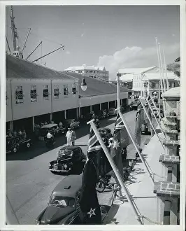 Mangrove: Royal couple in Bermuda