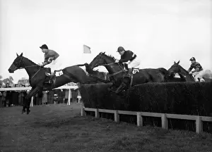 Unplaced: Royal horseracing at Hurst Park
