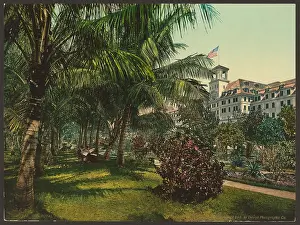 C1898: The Royal Ponciana, Lake Worth