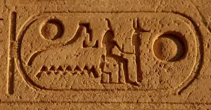 Crux: Royal protocol of Ramses II. Cartridge