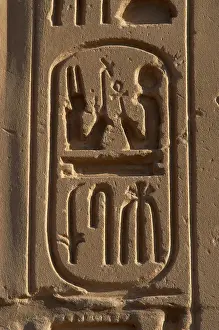 Crux: Royal protocol of Ramses II. Cartridge