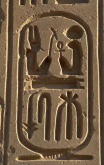 Crux: Royal protocol of Ramses II. Cartridge