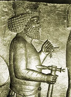Jamshid: Royal Reception Relief, Persepolis, Iran