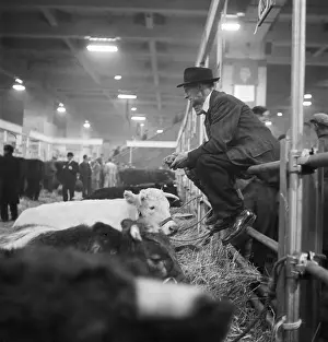 Agricutural: Royal Smithfield Show 1952