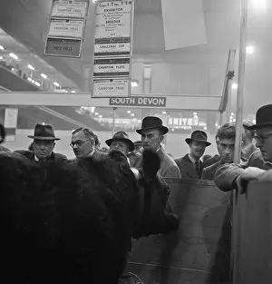 Agricutural: Royal Smithfield Show 1953