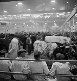Agricutural: Royal Smithfield Show 1953
