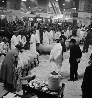 Agricutural: Royal Smithfield Show 1954