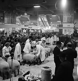 Agricutural: Royal Smithfield Show 1954