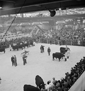 Agricutural: Royal Smithfield Show 1954
