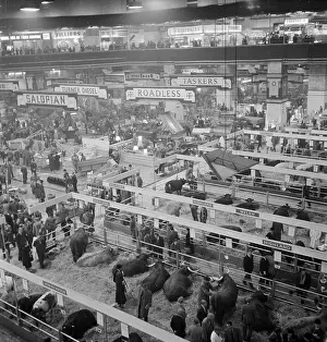 Agricutural: Royal Smithfield Show 1954