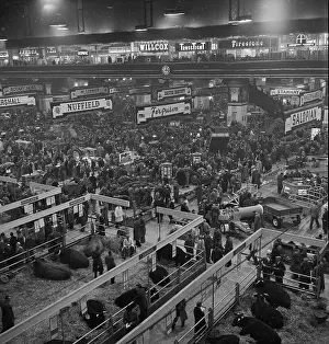 Agricutural: Royal Smithfield Show 1954