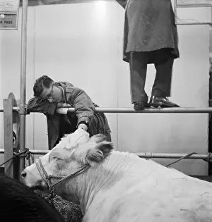 Agricutural: Royal Smithfield Show 1954