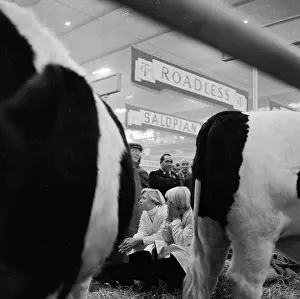 Handlers: Royal Smithfield Show 1955
