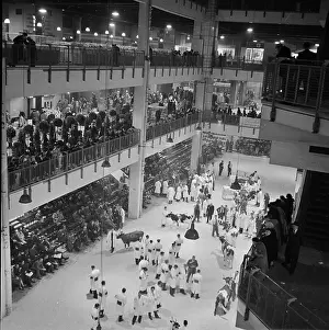 Agricutural: Royal Smithfield Show 1955