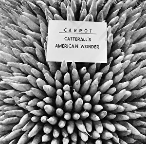 Agricutural: Royal Smithfield Show 1956