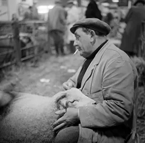 Clipped: Royal Smithfield Show 1957