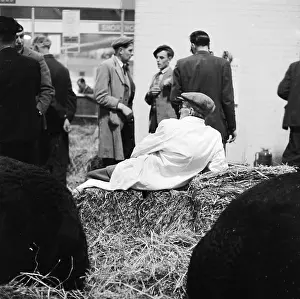 Agricutural: Royal Smithfield Show 1958