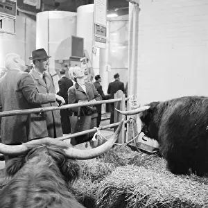 Agricutural: Royal Smithfield Show 1958