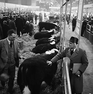 Agricutural: Royal Smithfield Show 1963