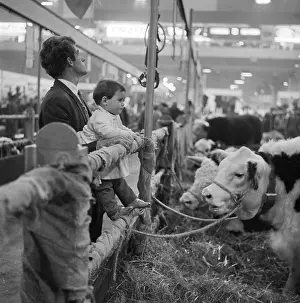 Agricutural: Royal Smithfield Show 1963