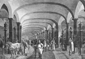 Grooms: ROYAL STABLES COPENHAGEN