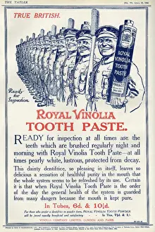 Vinolia: Royal Vinolia toothpaste advert, First World War