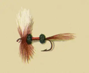 Atherton: Royal Wulff Coachman
