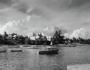 Mangrove: Royals Visit Bermuda after Coronation