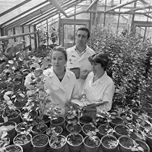 Virology: RPA Kordu