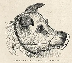 Rspca: RSPCA BACKED MUZZLE