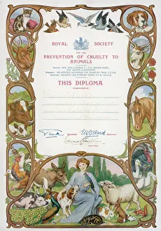 Rspca: RSPCA DIPLOMA