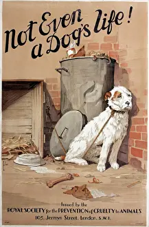Overflowing: RSPCA poster, Not even a dog's life!