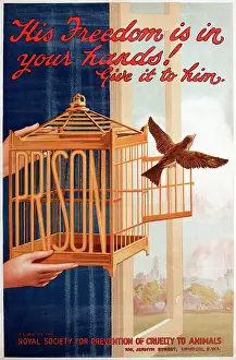 Caged: RSPCA poster, His freedom is in your hands!