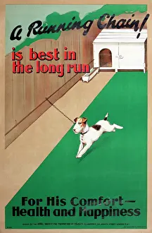 Kennel: RSPCA poster, A Running Chain!