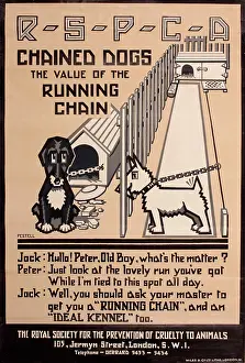 Kennel: RSPCA poster, The value of the running chain
