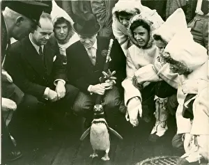 Trilby: RSS Discovery exhibition with celebrities and penguin
