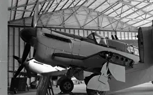 Firefly: RTAF Museum - Firefly I - J4-11/94