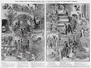 Coolies: Rubber Tree to Finished Motor Tyres 1907