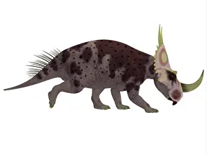 Centrosaurinae: Rubeosaurus dinosaur, side profile