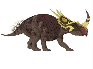 Spiked: Rubeosaurus dinosaur, side profile