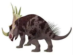 Centrosaurinae: Rubeosaurus dinosaur, rear view